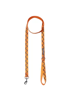 Glows Leash
