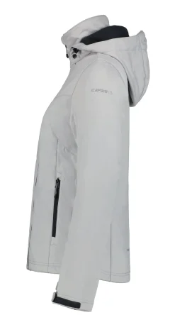 Icepeak Boise