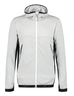 Icepeak Dolliver