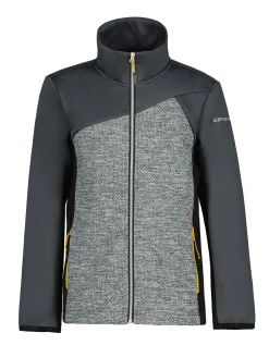 Icepeak Krumbach Jr